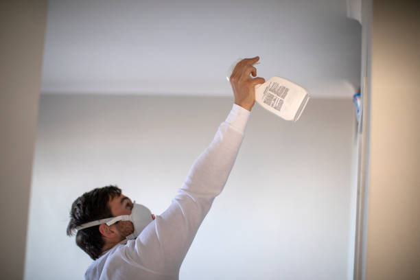 Best Industrial Mold Remediation in Prattville, AL